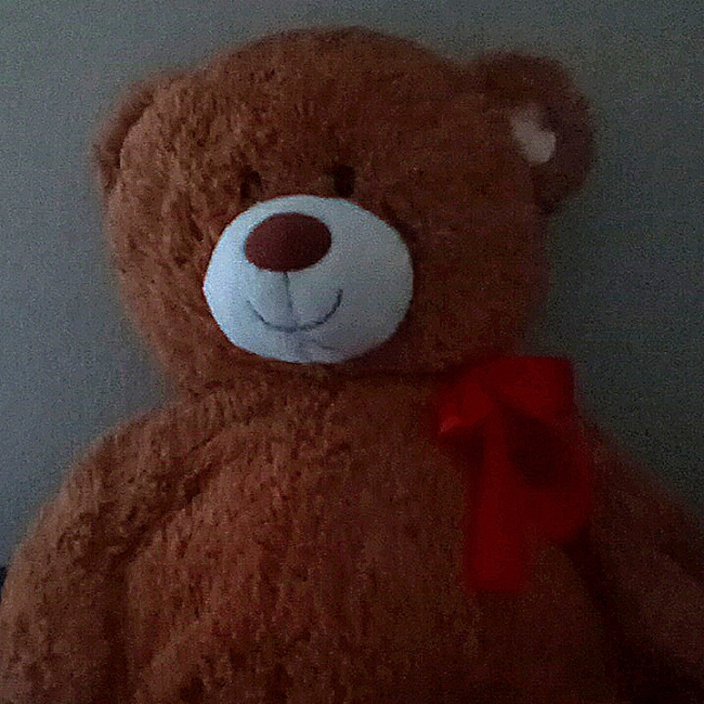 Bear Doll